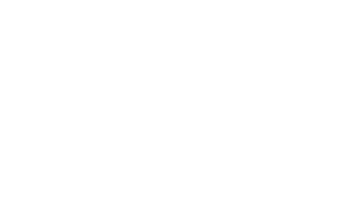 Jandy Pro